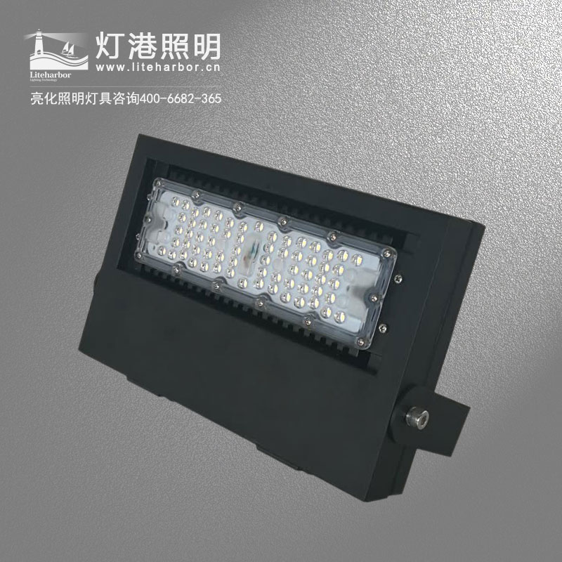 DG5203-LED投光燈