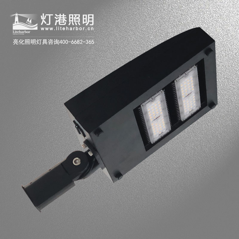 DG5101-LED路燈 太陽能智慧節(jié)能道路亮化led路燈專業(yè)廠家