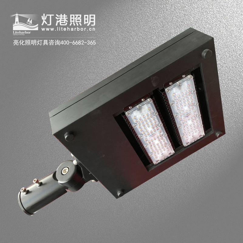 DG5102-LED路燈 戶外大功率防水道路亮化led路燈專業(yè)廠家